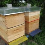 Flugling links Normal rechts